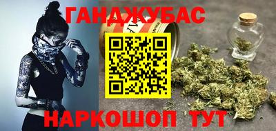 гидра Будённовск