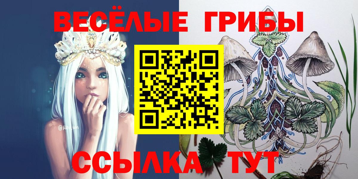 Чебоксары  Псилоцибиновые грибы мицелий  Вход с VPN  Галлюциногенные грибы прущие грибы 