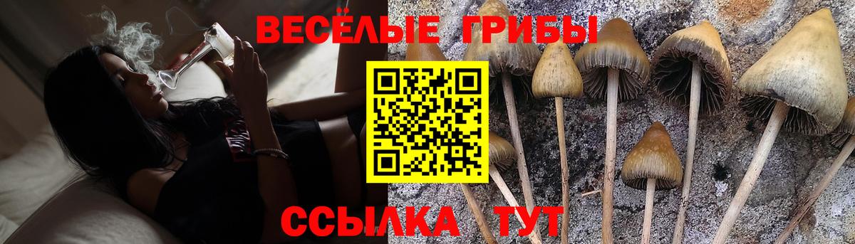 Псилоцибиновые грибы Magic Shrooms Чебоксары