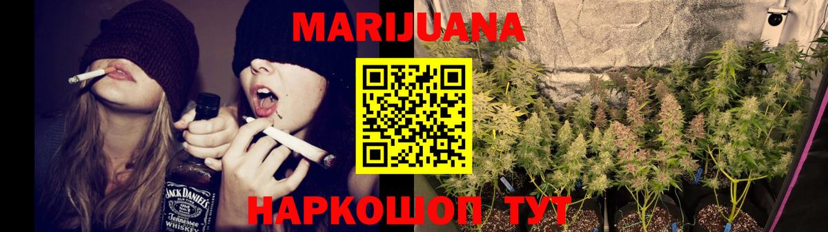 Бошки Шишки гибрид Чебоксары